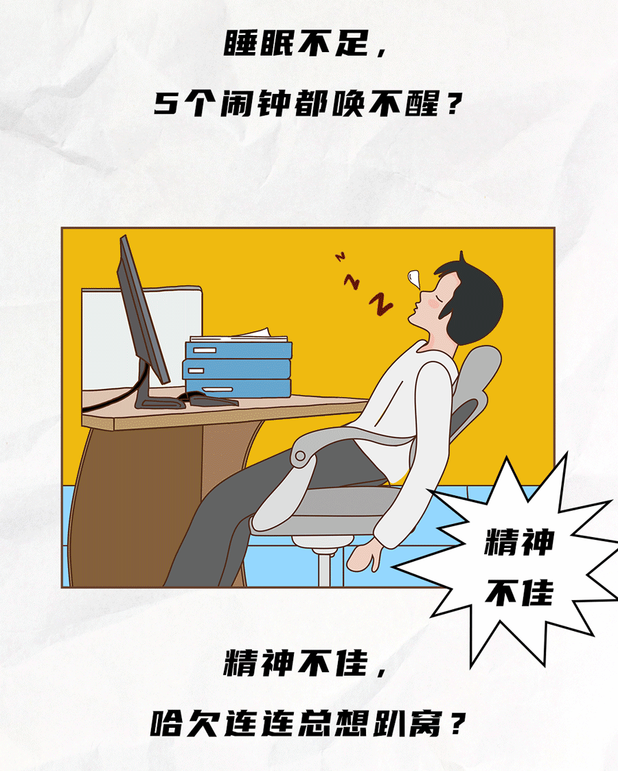 球王会体育